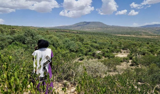Restored highland landscape in Ethiopia